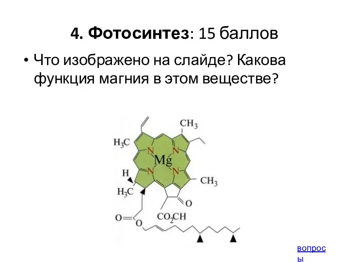 4. Фотосинтез: 15 баллов Что изображено на слайде? Какова функция магния в этом веществе? вопросы