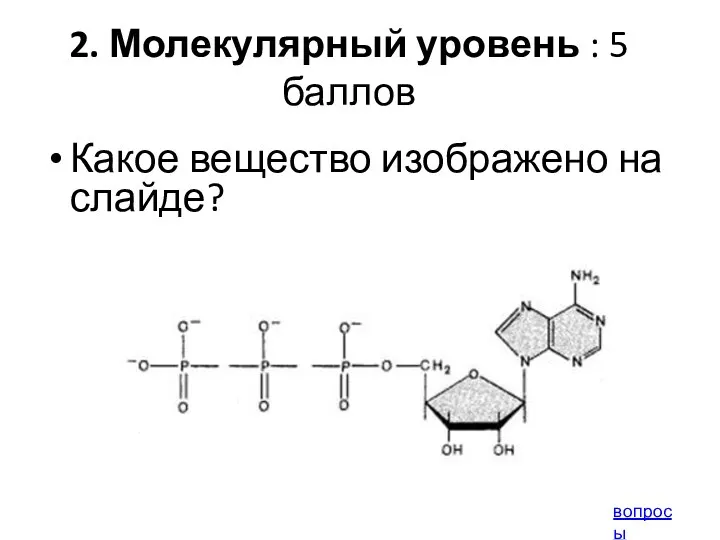 2. Молекулярный уровень : 5 баллов Какое вещество изображено на слайде? вопросы