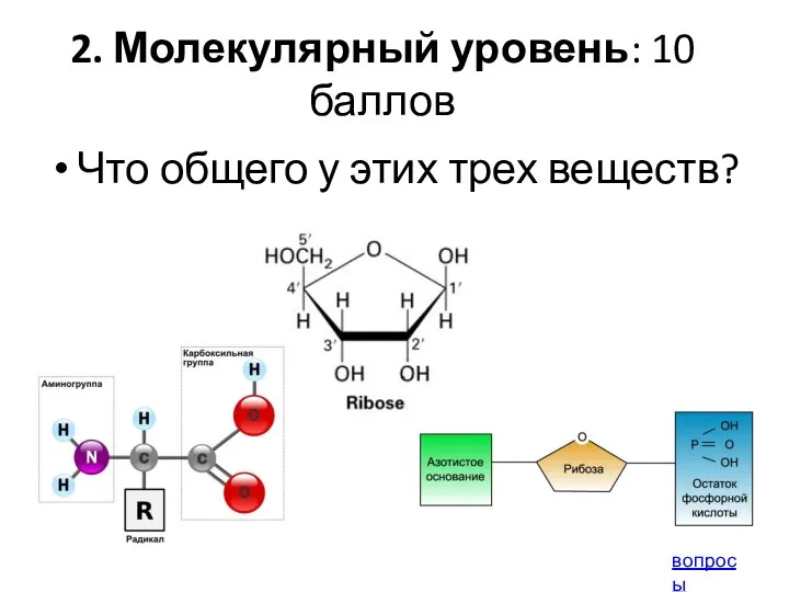 2. Молекулярный уровень: 10 баллов Что общего у этих трех веществ? вопросы