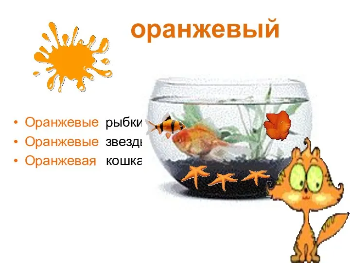 оранжевый Оранжевые рыбки Оранжевые звезды Оранжевая кошка
