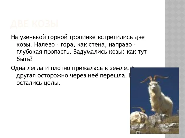 Две козы На узенькой горной тропинке встретились две козы. Налево – гора, как