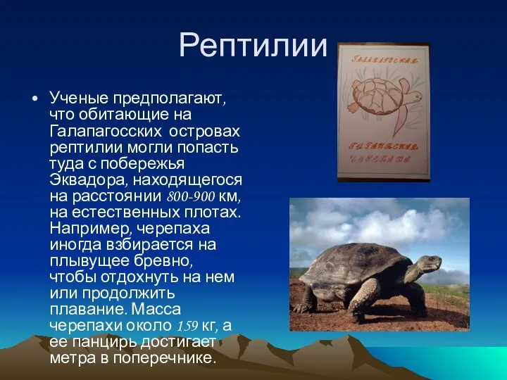 Рептилии Ученые предполагают, что обитающие на Галапагосских островах рептилии могли