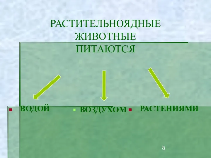 РАСТИТЕЛЬНОЯДНЫЕ ЖИВОТНЫЕ ПИТАЮТСЯ ВОЗДУХОМ РАСТЕНИЯМИ ВОДОЙ