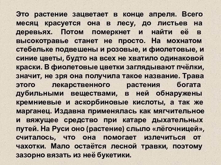 Это растение зацветает в конце апреля. Всего месяц красуется она