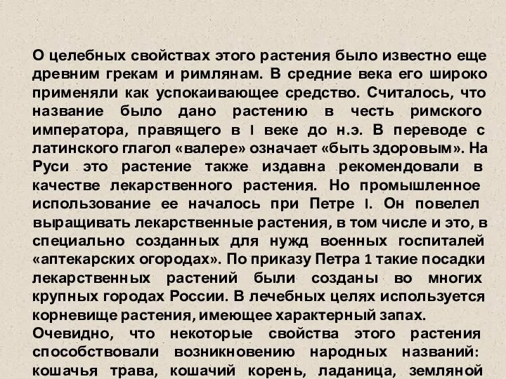 О целебных свойствах этого растения было известно еще древним грекам