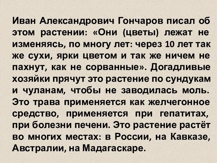 Иван Александрович Гончаров писал об этом растении: «Они (цветы) лежат