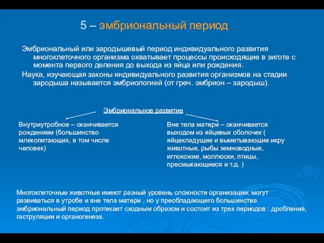 Эмбриональный или зародышевый период индивидуального развития многоклеточного организма охватывает процессы