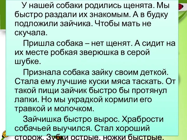 У нашей собаки родились щенята. Мы быстро раздали их знакомым.