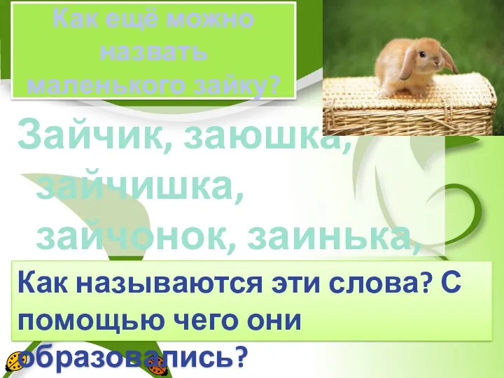 Как ещё можно назвать маленького зайку? Зайчик, заюшка, зайчишка, зайчонок,