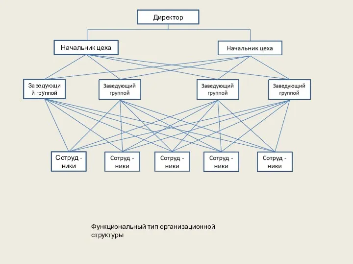 Директор Начальник цеха Заведующий группой Сотруд -ники Функциональный тип организационной структуры