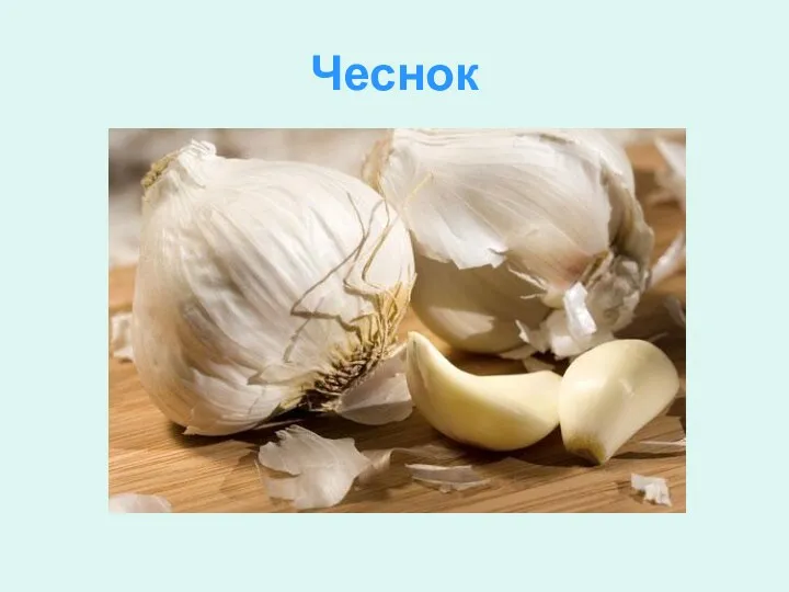 Чеснок