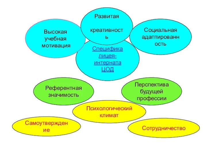 Референтная значимость Сотрудничество Перспектива будущей профессии Самоутверждение Специфика лицея-интерната ЦОД