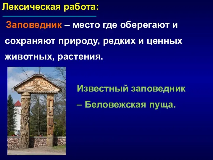 Лексическая работа: Заповедник – место где оберегают и сохраняют природу,