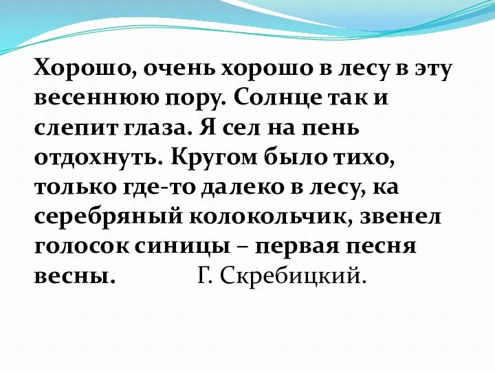 Хорошо, очень хорошо в лесу в эту весеннюю пору. Солнце