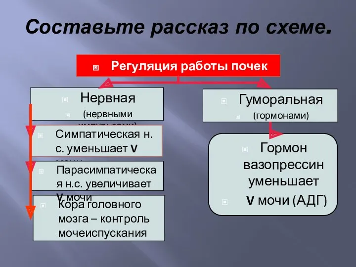 Составьте рассказ по схеме.