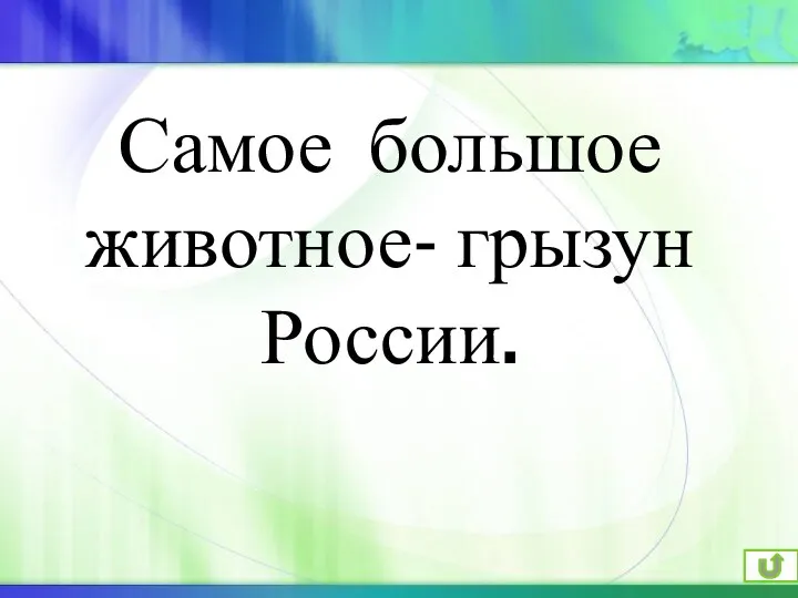 Самое большое животное- грызун России.