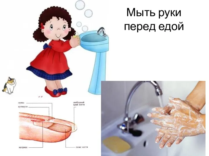 Мыть руки перед едой
