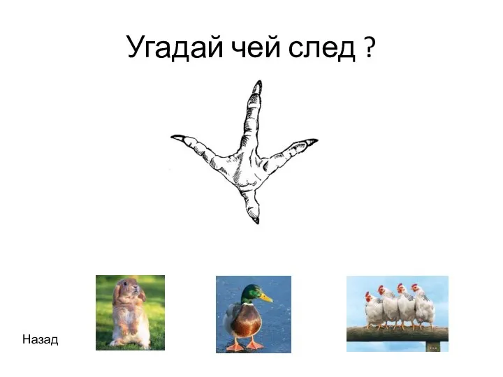 Угадай чей след ? Назад