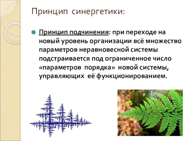 Принцип синергетики: Принцип подчинения: при переходе на новый уровень организации