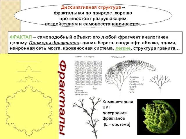 Диссипативная структура – фрактальная по природе, хорошо противостоит разрушающим воздействиям