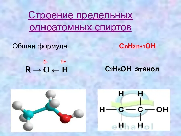 Строение предельных одноатомных спиртов Общая формула: СnH2n+1OH R → O ← H δ- δ+ C2H5OH этанол