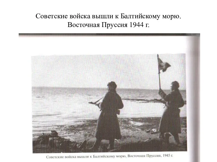 Советские войска вышли к Балтийскому морю. Восточная Пруссия 1944 г.