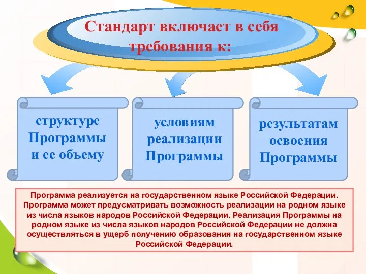 Стандарт включает в себя требования к: структуре Программы и ее