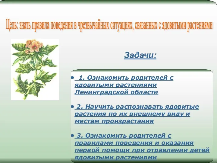 Задачи: 1. Ознакомить родителей с ядовитыми растениями Ленинградской области 2. Научить распознавать ядовитые
