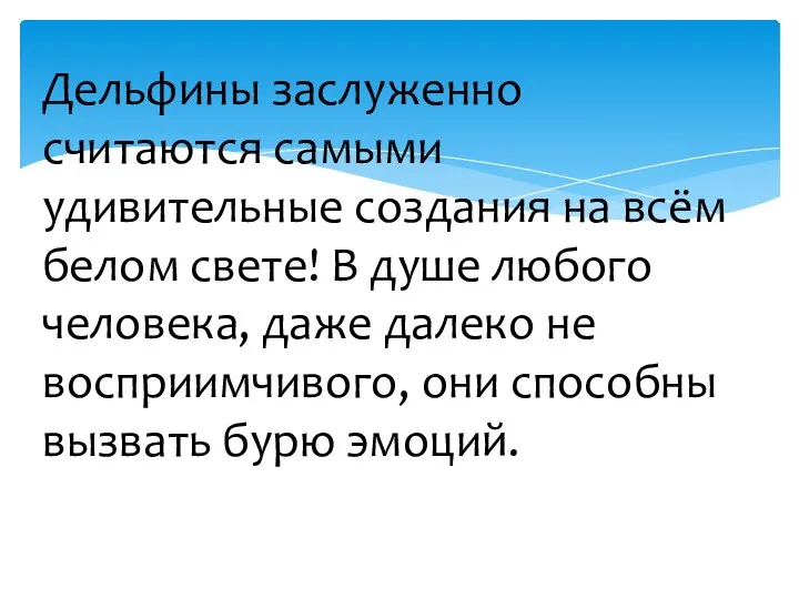 Дельфины заслуженно считаются самыми удивительные создания на всём белом свете!