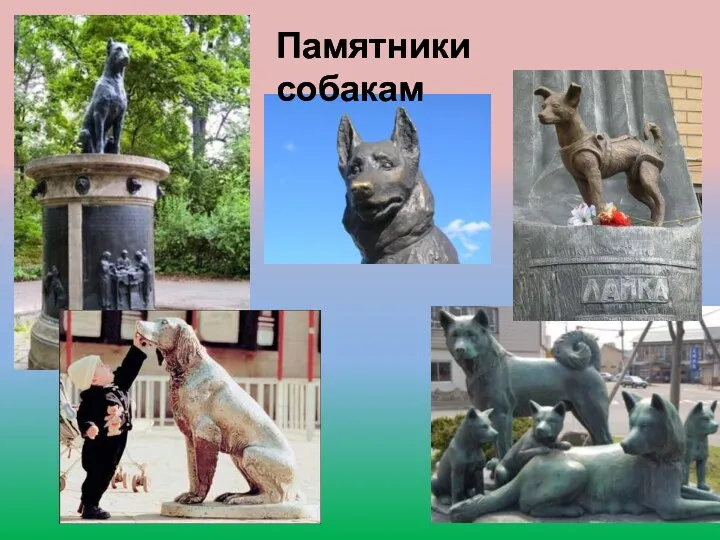 Памятники собакам