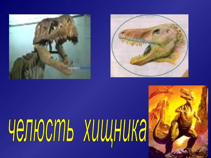 челюсть хищника