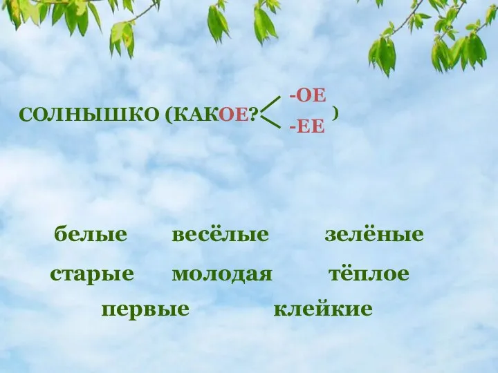 белые весёлые зелёные старые молодая тёплое первые клейкие СОЛНЫШКО (КАКОЕ? -ОЕ -ЕЕ )