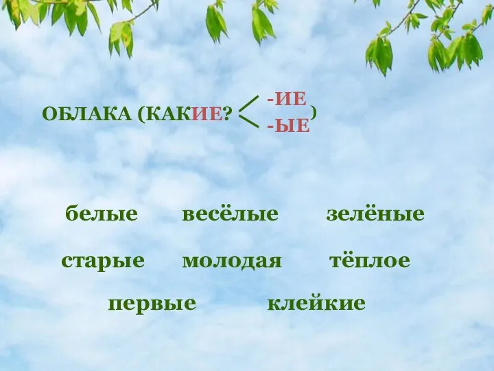 весёлые зелёные старые молодая тёплое первые клейкие белые ОБЛАКА (КАКИЕ? -ИЕ -ЫЕ )