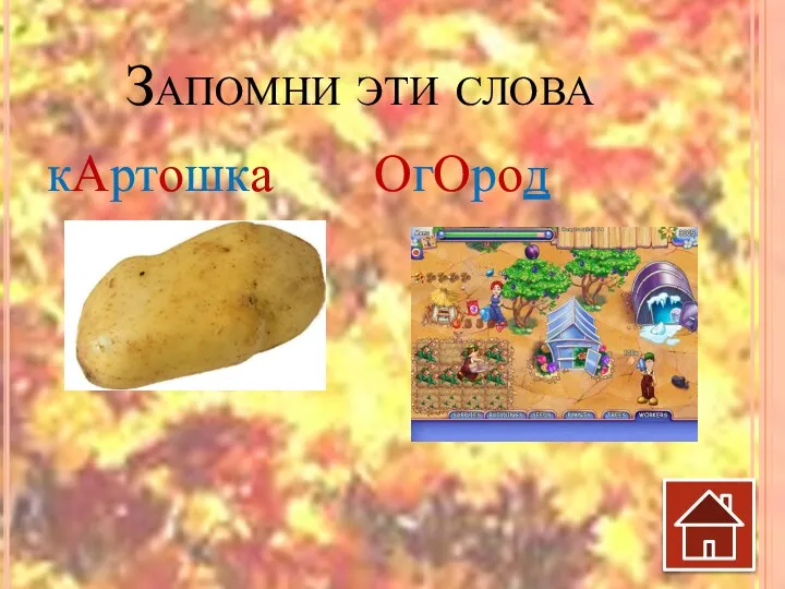 Запомни эти слова кАртошка ОгОрод