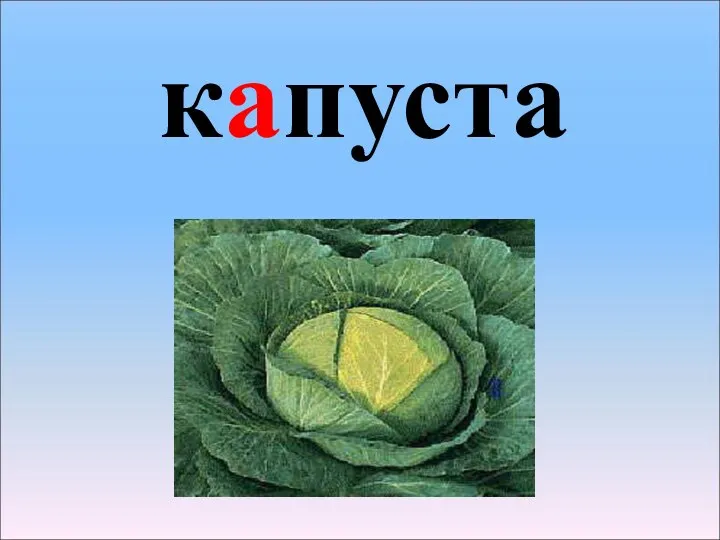 капуста