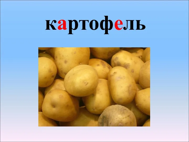 картофель