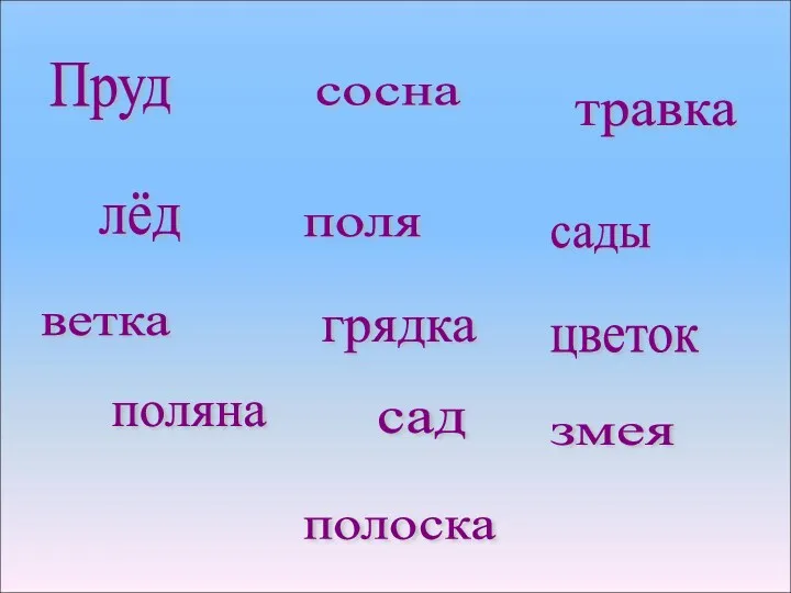 сосна травка лёд поля сады грядка цветок сад поляна змея Пруд ветка полоска