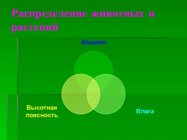 Распределение животных и растений