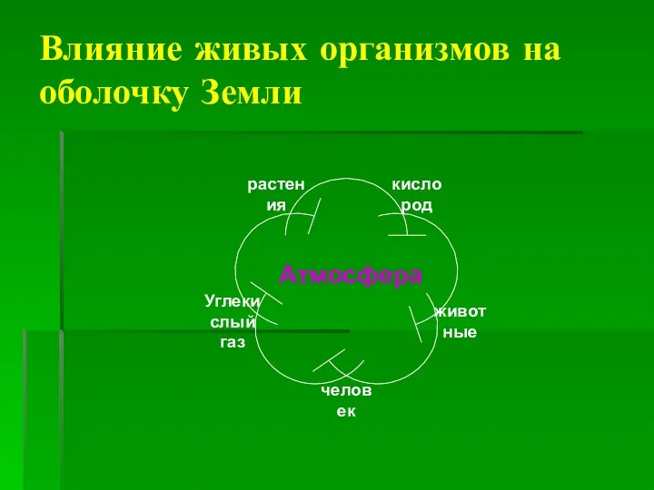 Влияние живых организмов на оболочку Земли Атмосфера