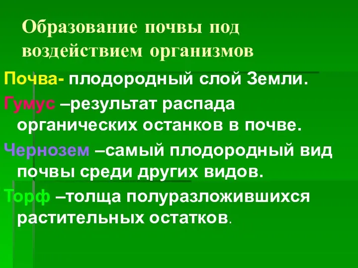 Образование почвы под воздействием организмов Почва- плодородный слой Земли. Гумус –результат распада органических