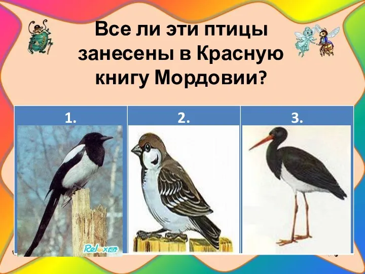 Все ли эти птицы занесены в Красную книгу Мордовии?