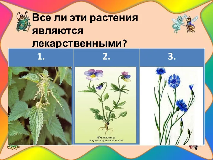 Все ли эти растения являются лекарственными?