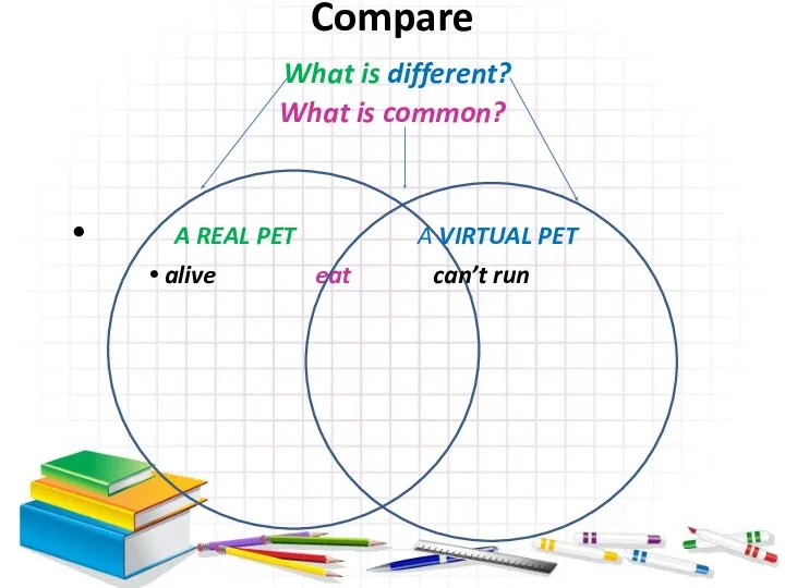 Compare What is different? What is common? A REAL PET