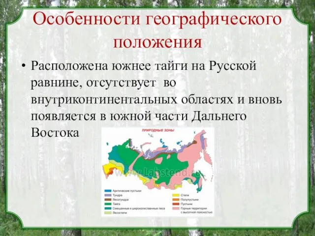 Особенности географического положения Расположена южнее тайги на Русской равнине, отсутствует