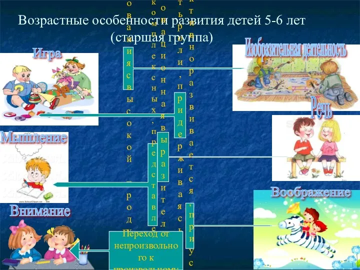 Возрастные особенности развития детей 5-6 лет (старшая группа) Возраст активного