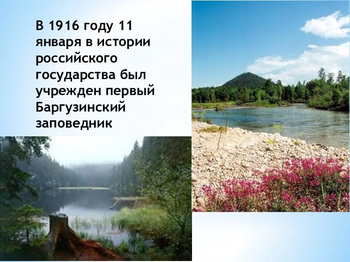 В 1916 году 11 января в истории российского государства был учрежден первый Баргузинский заповедник