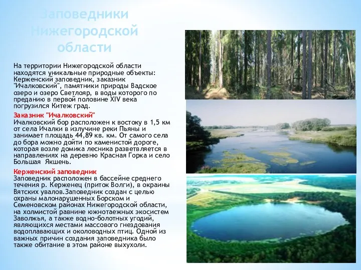 Заповедники Нижегородской области На территории Нижегородской области находятся уникальные природные