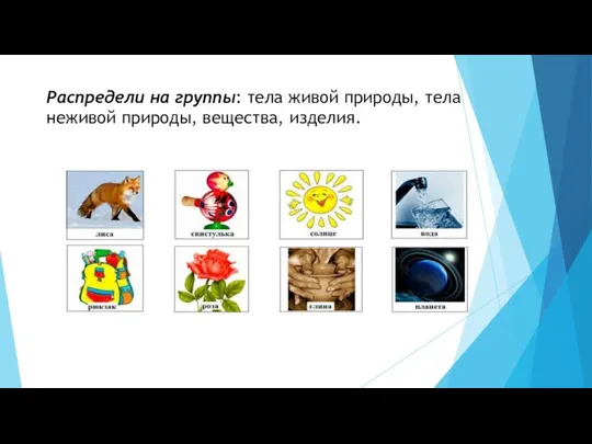 Распредели на группы: тела живой природы, тела неживой природы, вещества, изделия.