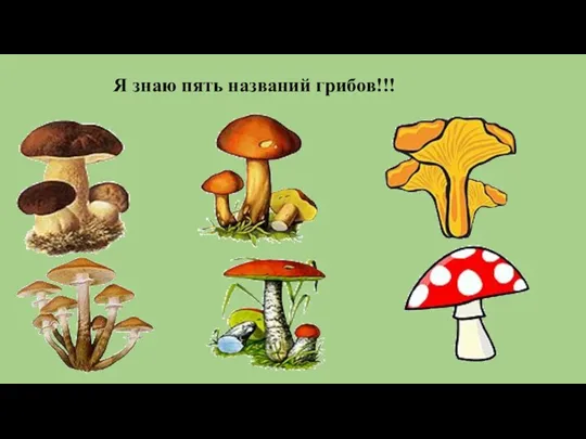 Я знаю пять названий грибов!!!