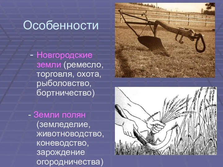 Особенности Новгородские земли (ремесло, торговля, охота, рыболовство, бортничество) - Земли полян (земледелие, животноводство, коневодство, зарождение огородничества)